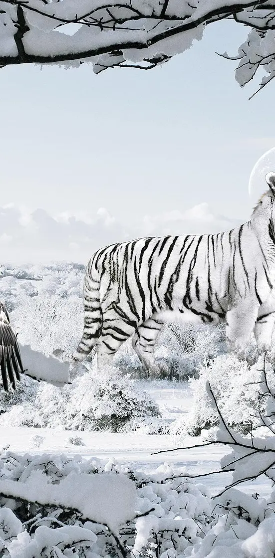 White  tiger fantasy