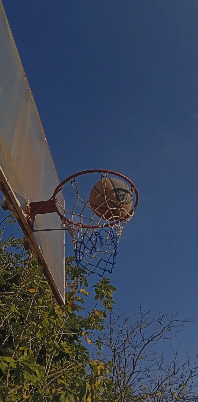 Basketball hoops 