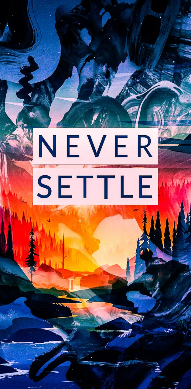 never settle