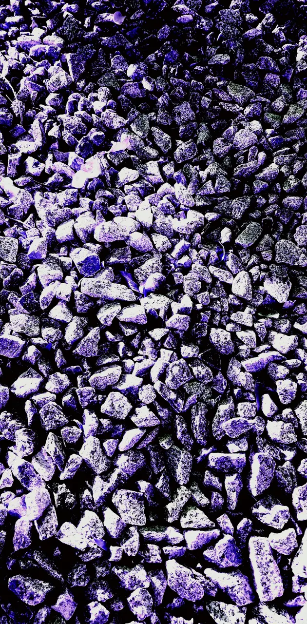 Purple Rocks