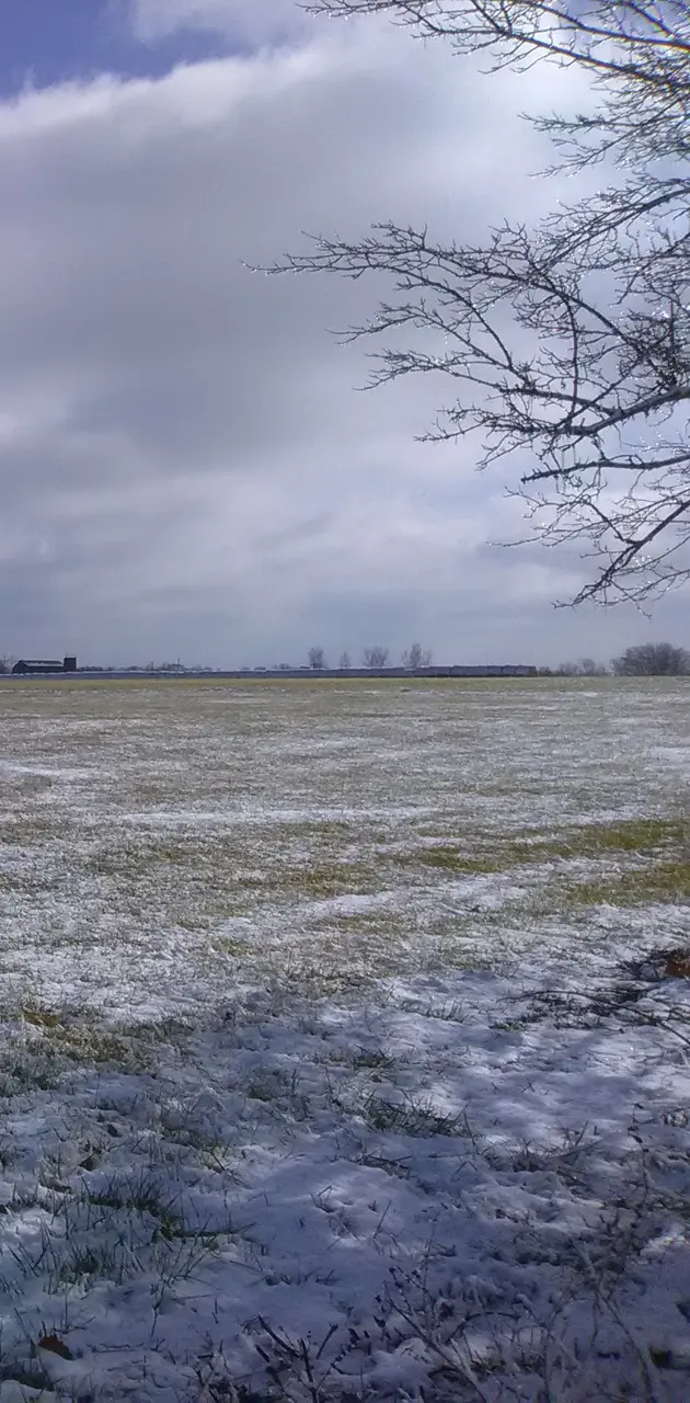 Frozen field