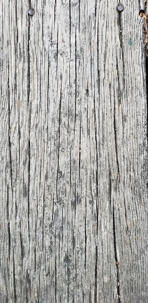 Wood wallpaper