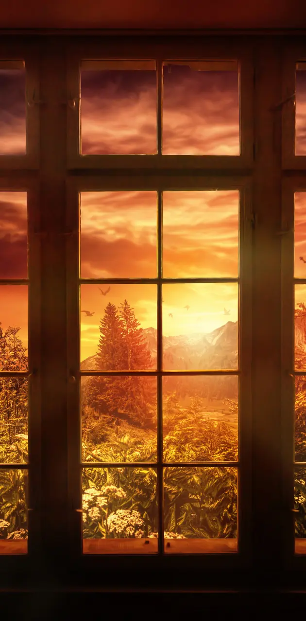 Nature Window