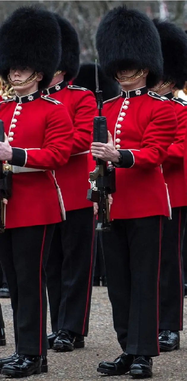 Buckingham Guards