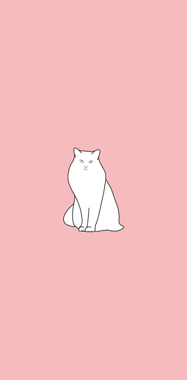 minimalist cat