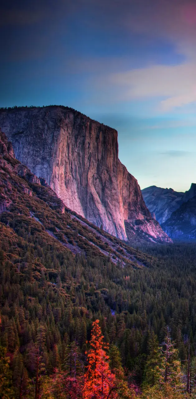 The Yosemite Valley
