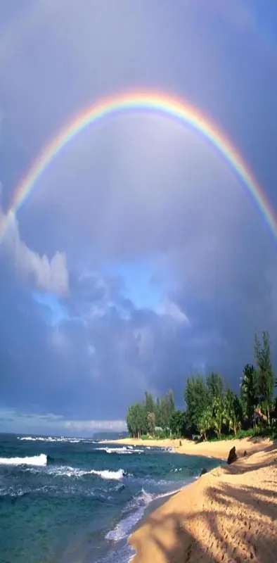 Rainbow Nature