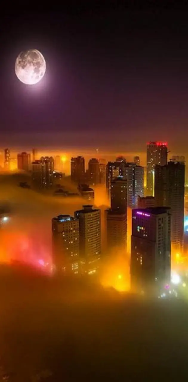 Fog City  Night