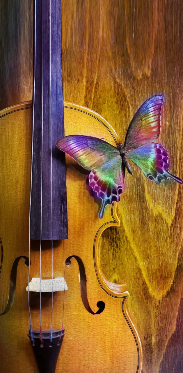 Violin Butterfly