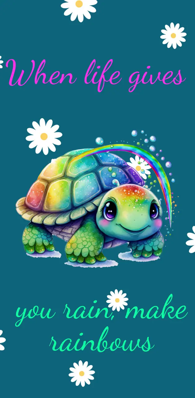 Rainy turtle