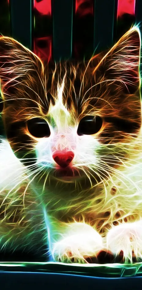 Cat Abstract Hd