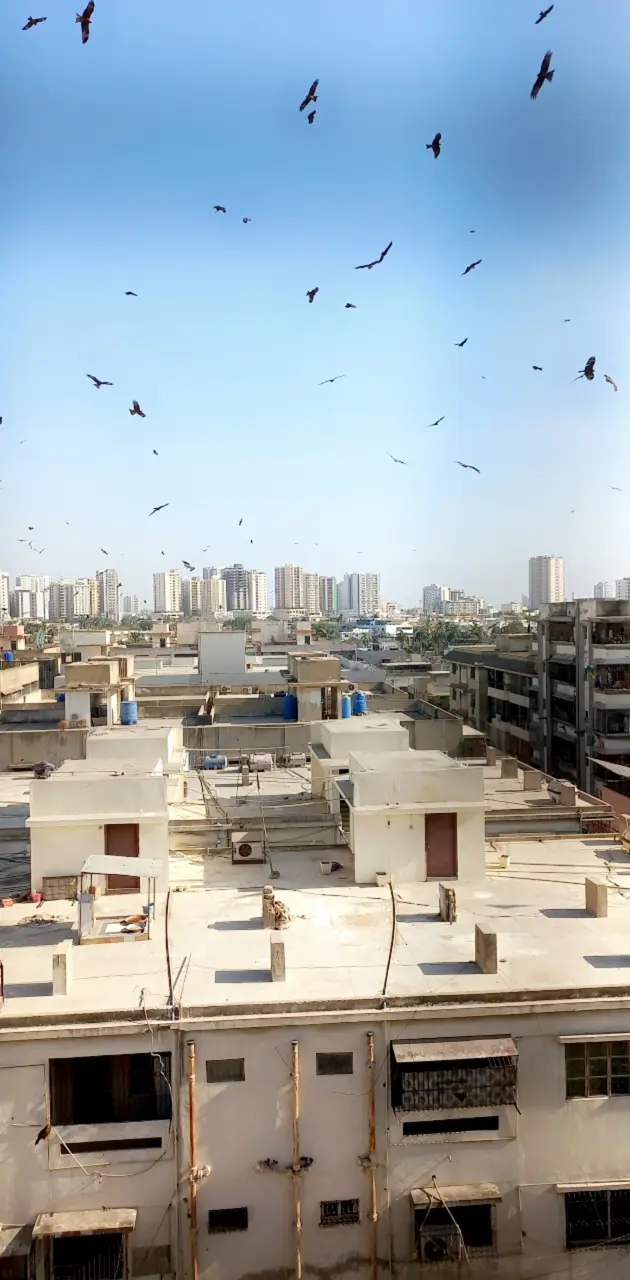 Karachi Skyline 