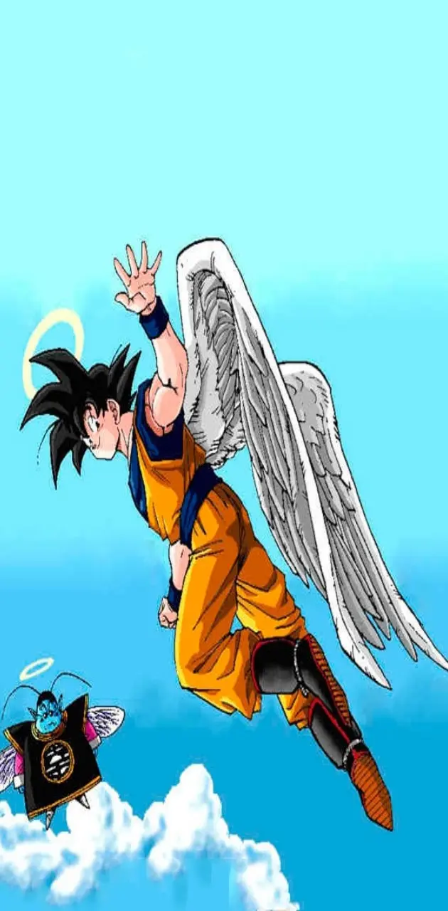 Goku Angel