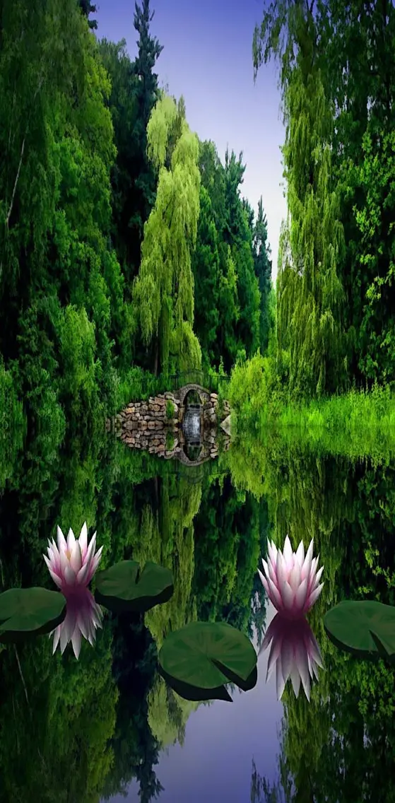 Lotus Flower Lake