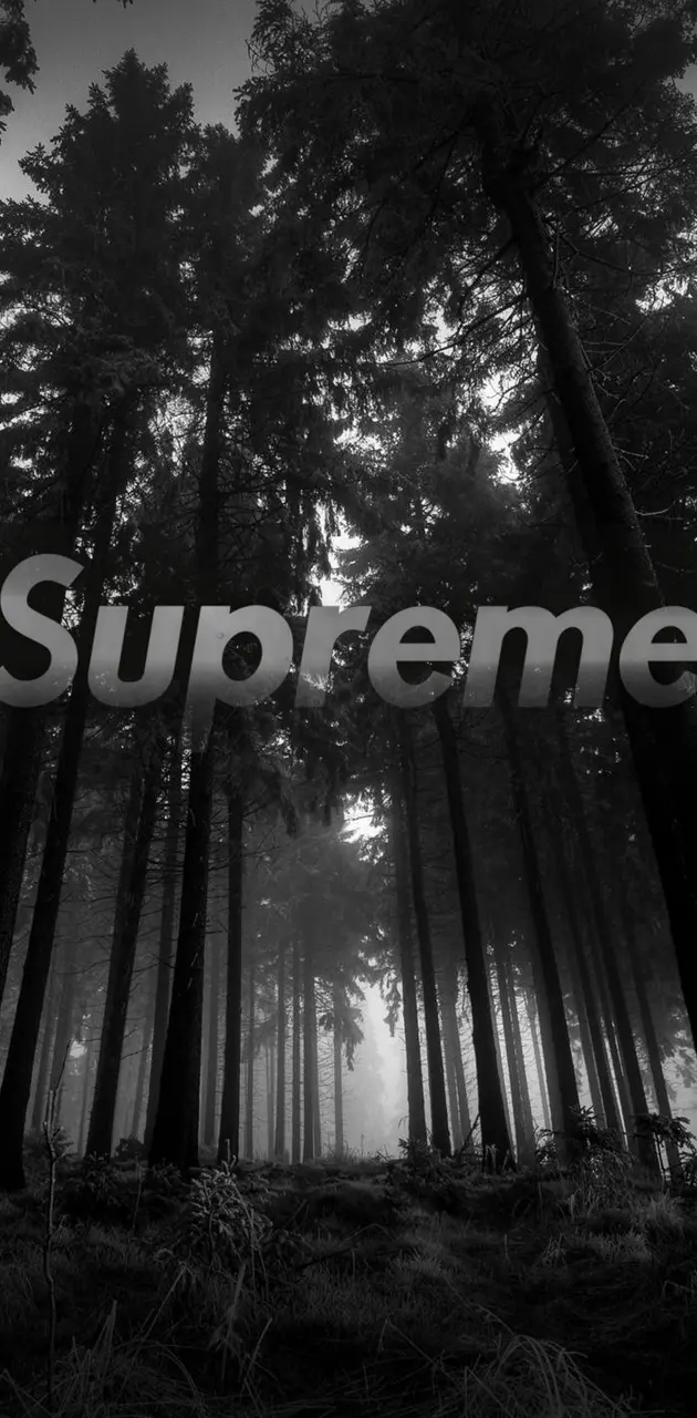Dark Forest Supreme