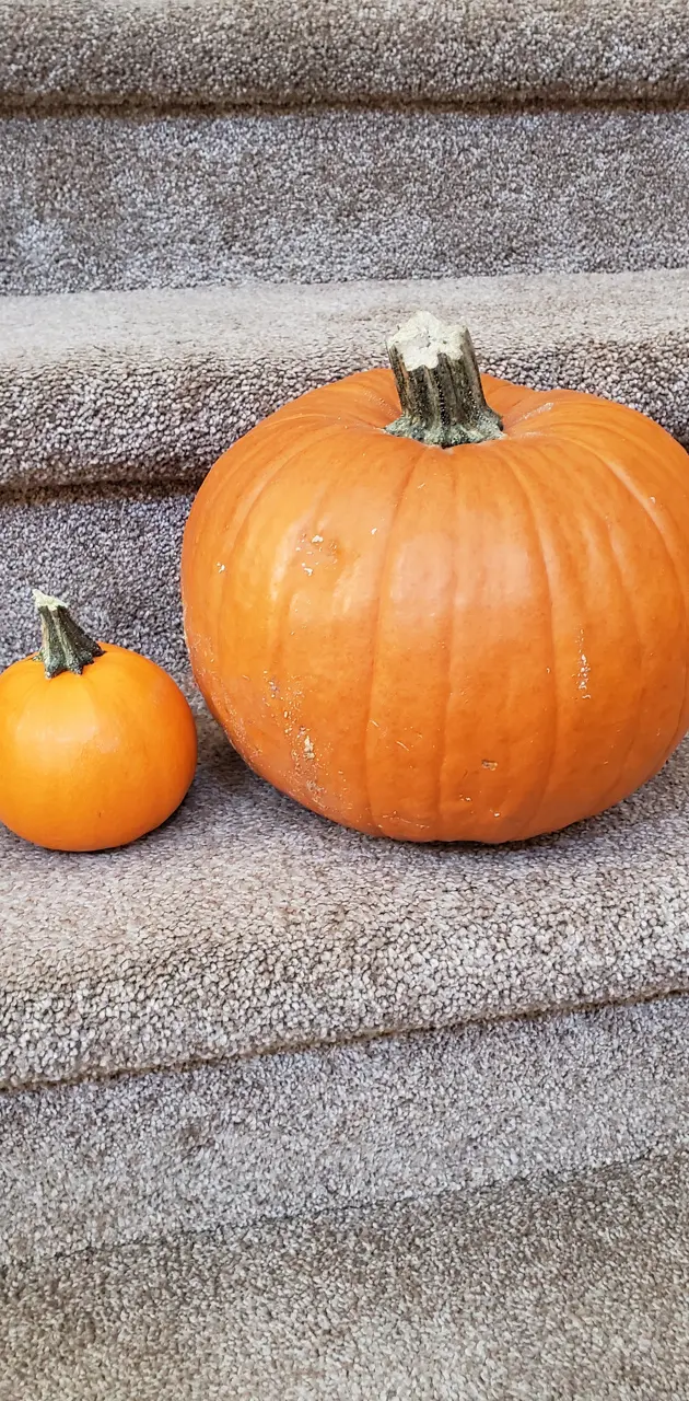 2 pumpkins
