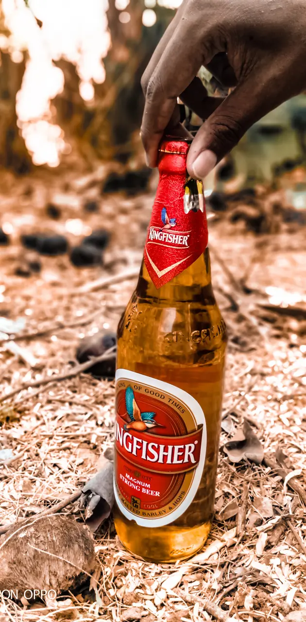 kingfisher beer can wallpaper