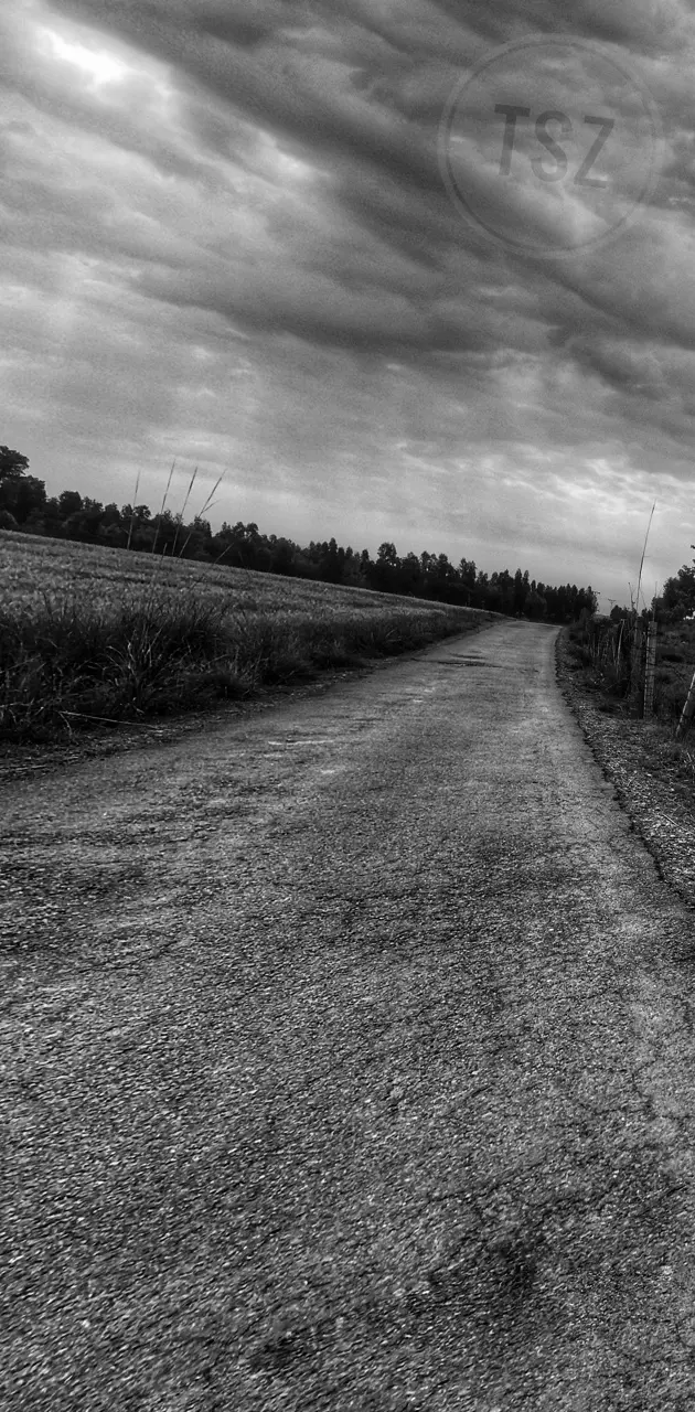 black and white road