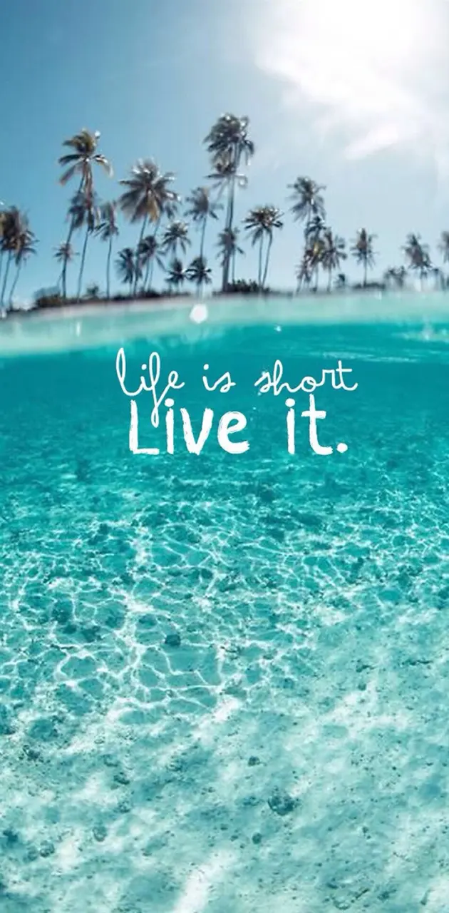 Live your Life
