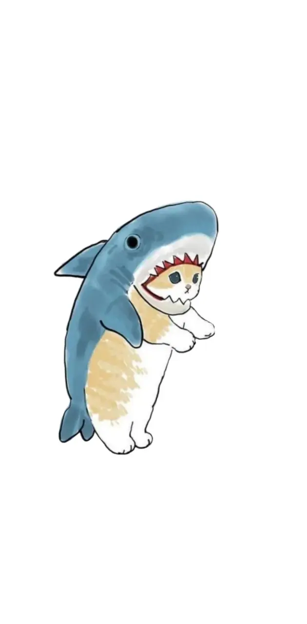 Matching shark-cat