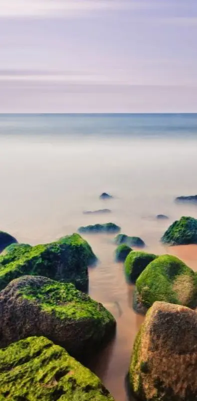 Green Beach Stones