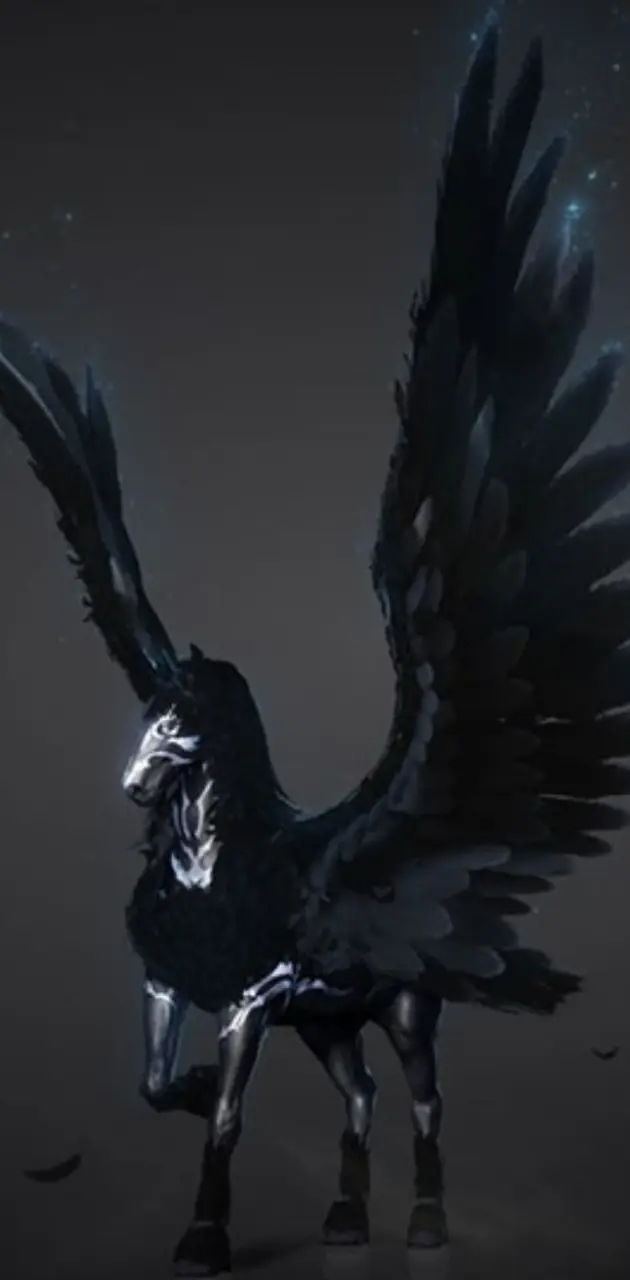 Black beauty Pegasus