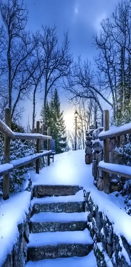 snowy walkway