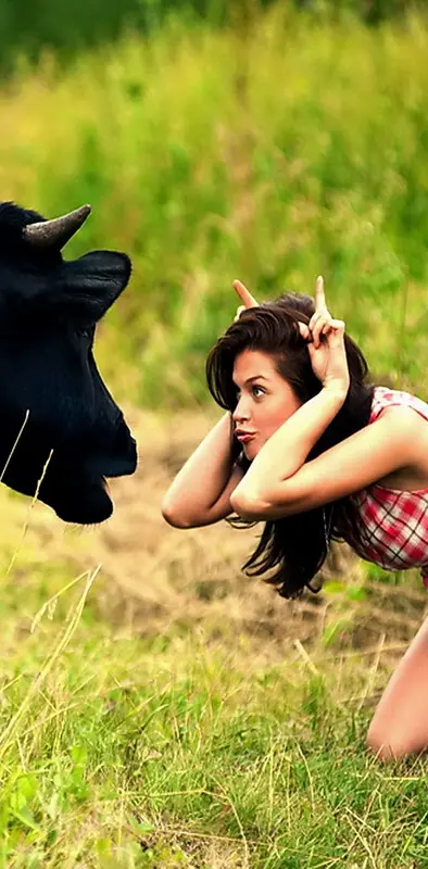 Girl Vs Cow