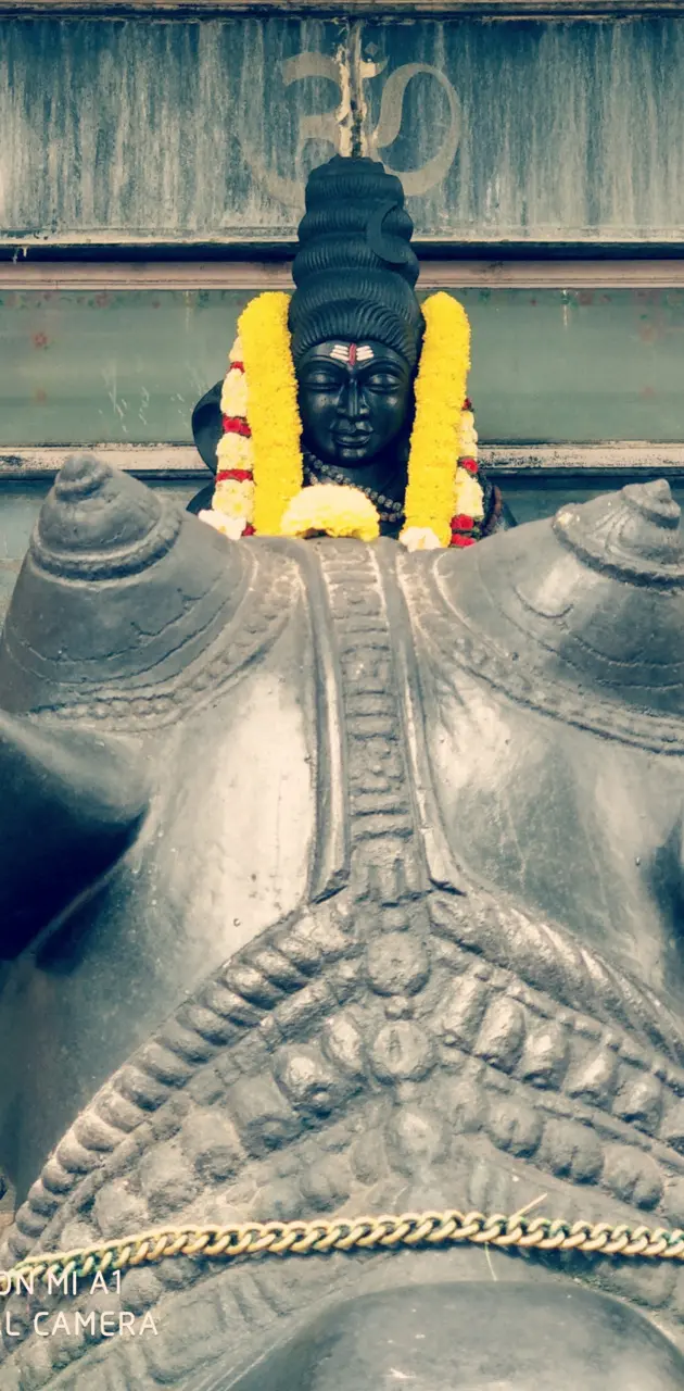 Shiva nandi