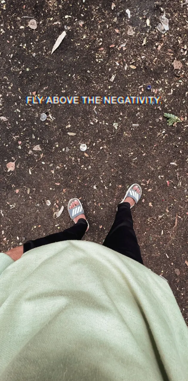 Fly above negativity