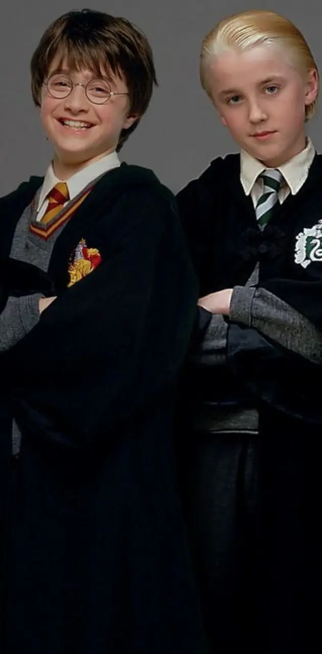 Harry and Draco 