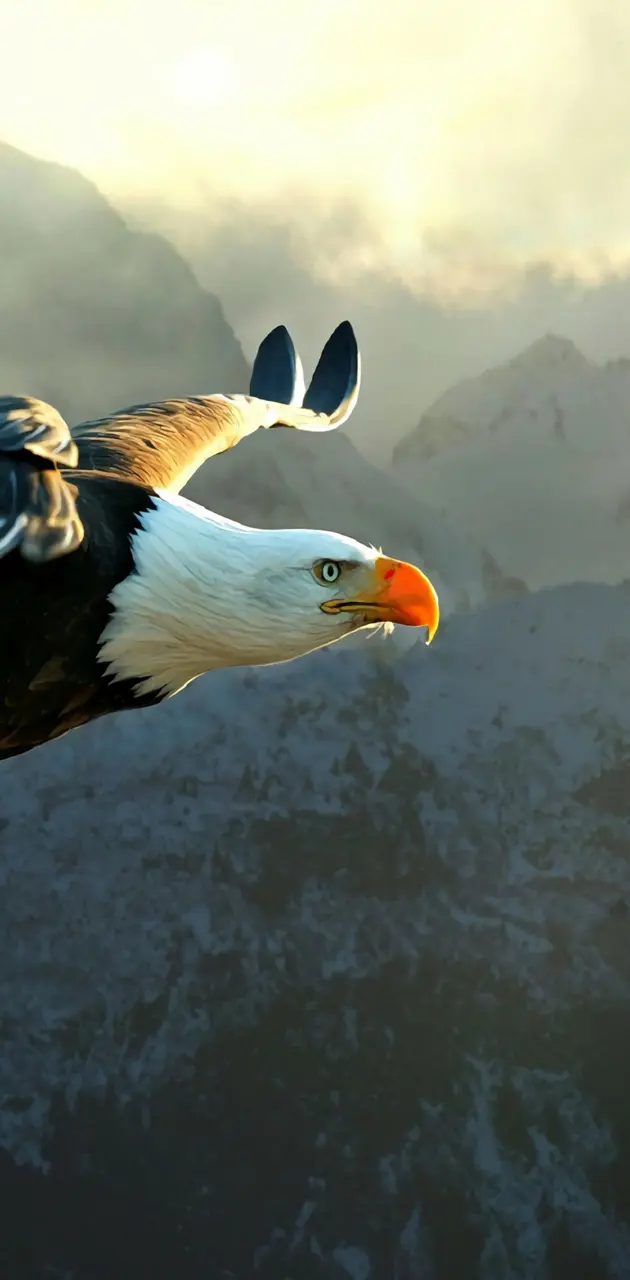 Paok eagle