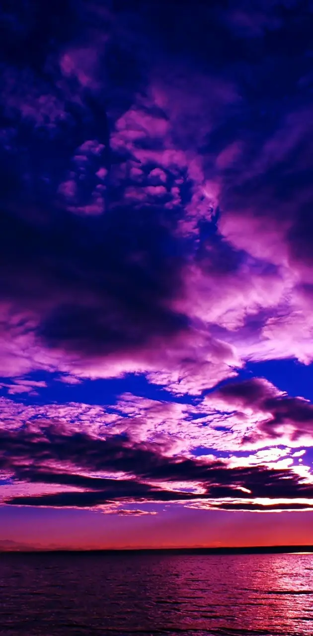 Purple sky