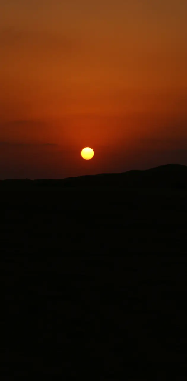 Desert Sunshine