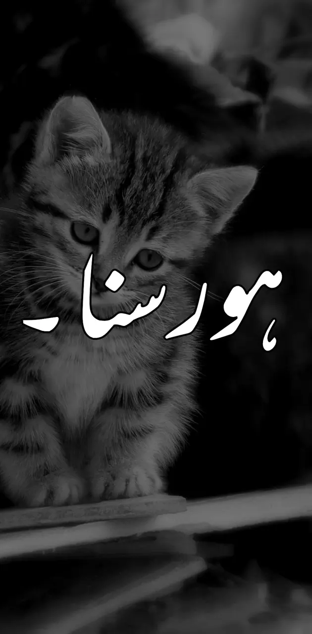 funny animals with funny sayings in punjabi