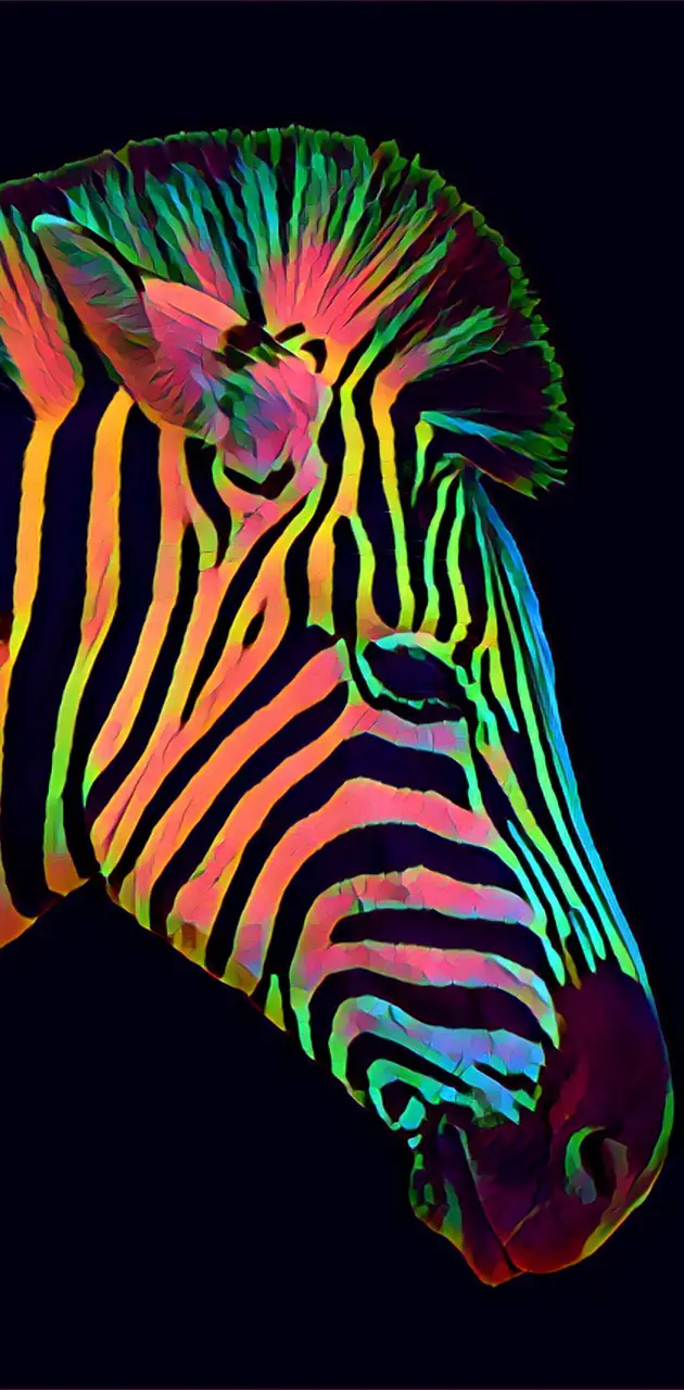 Colorful zebra head
