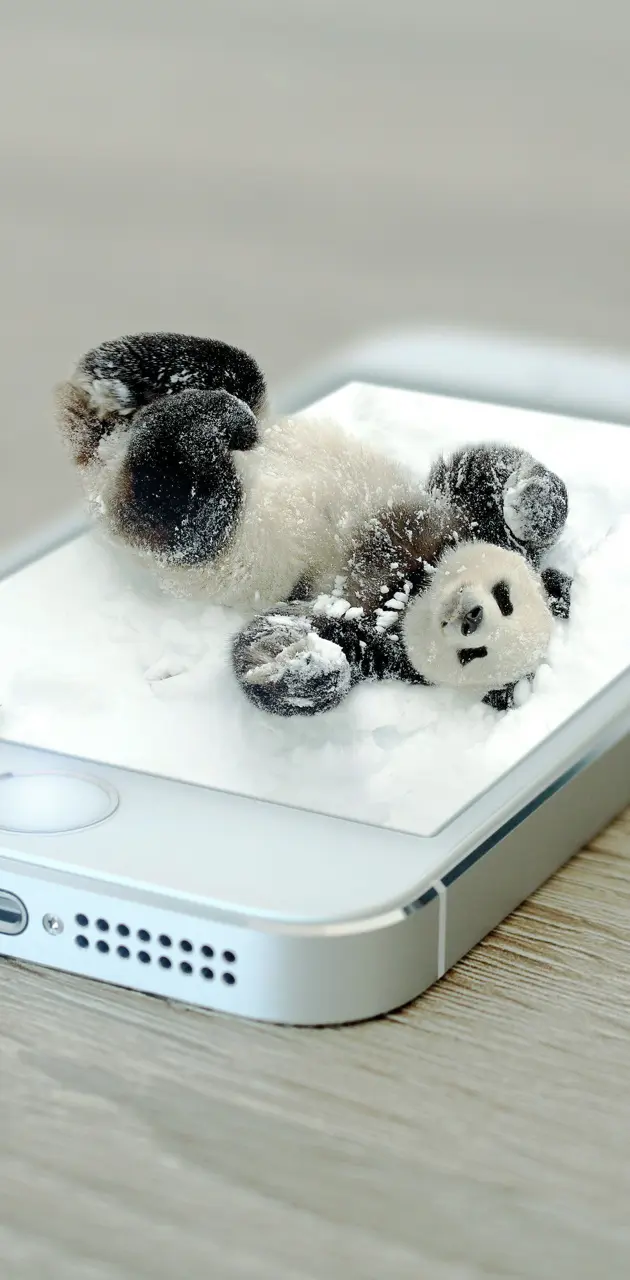 iphone panda