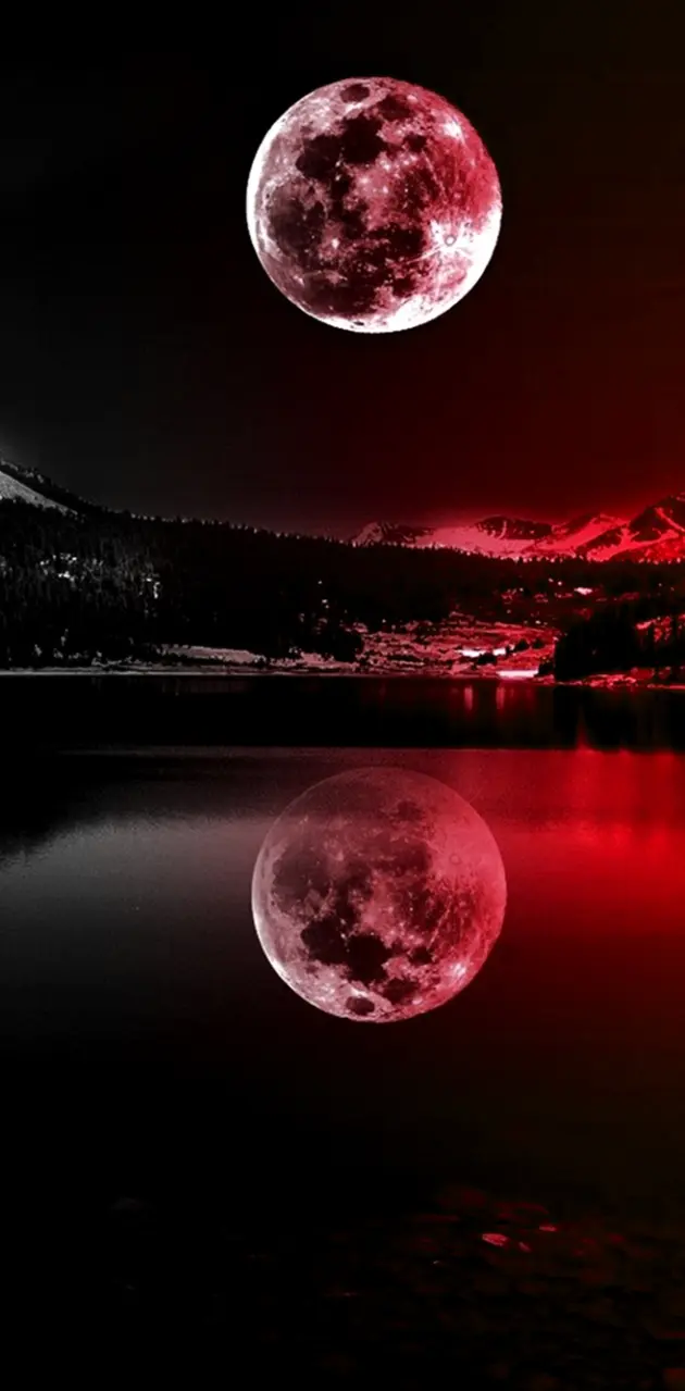 Red Moonlight