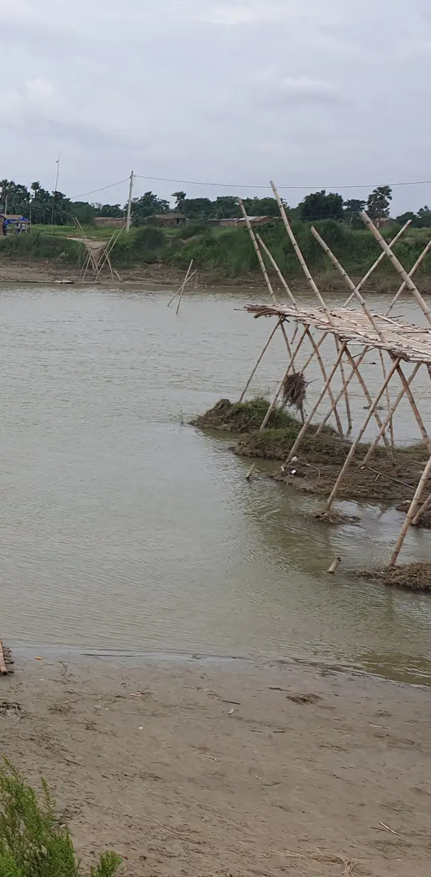 River, bamboo brige