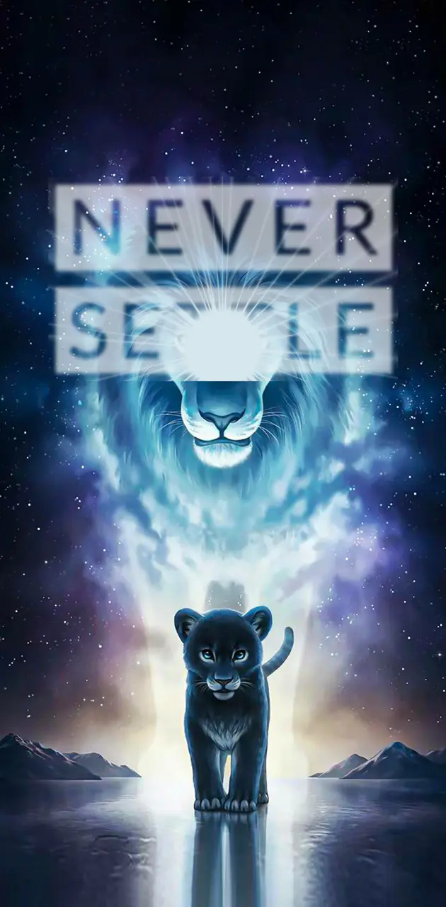 Never Settle Lion 3