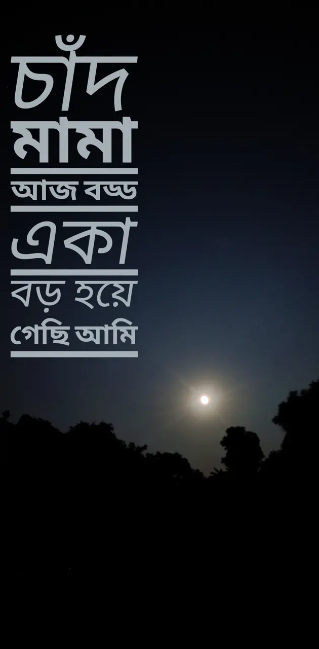 bangla saying