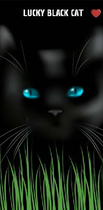 Lucky Black Cat