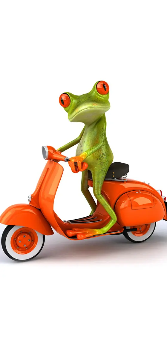 Moto Frog