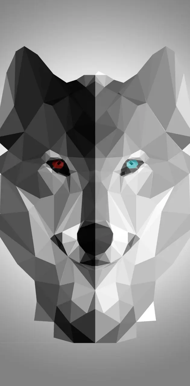 Wolf wolf wolf