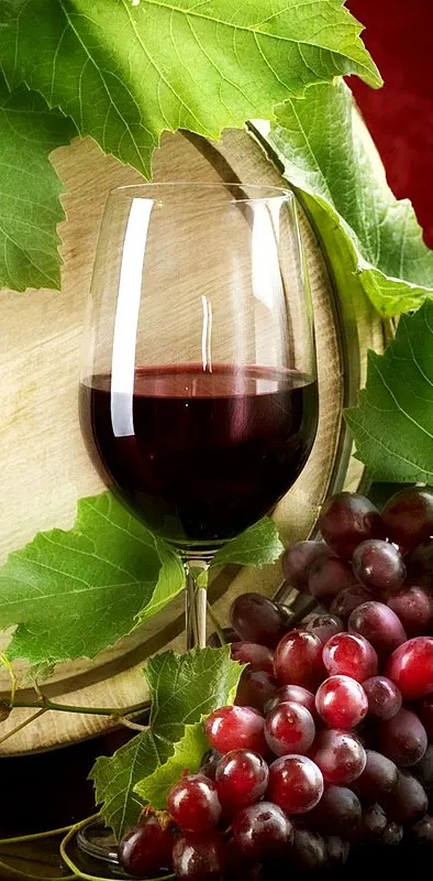Wine  Grape