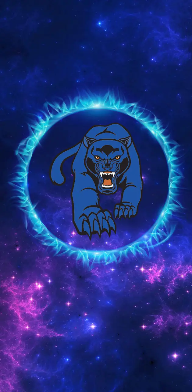 Panther Space Logo