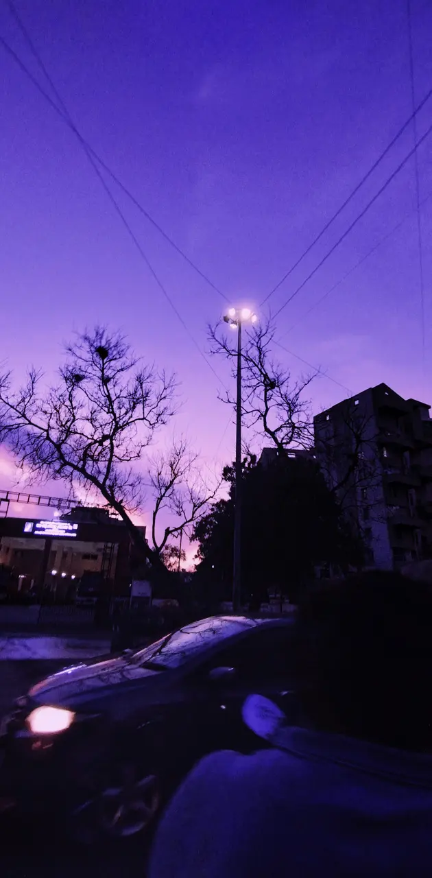 Purple sunsets