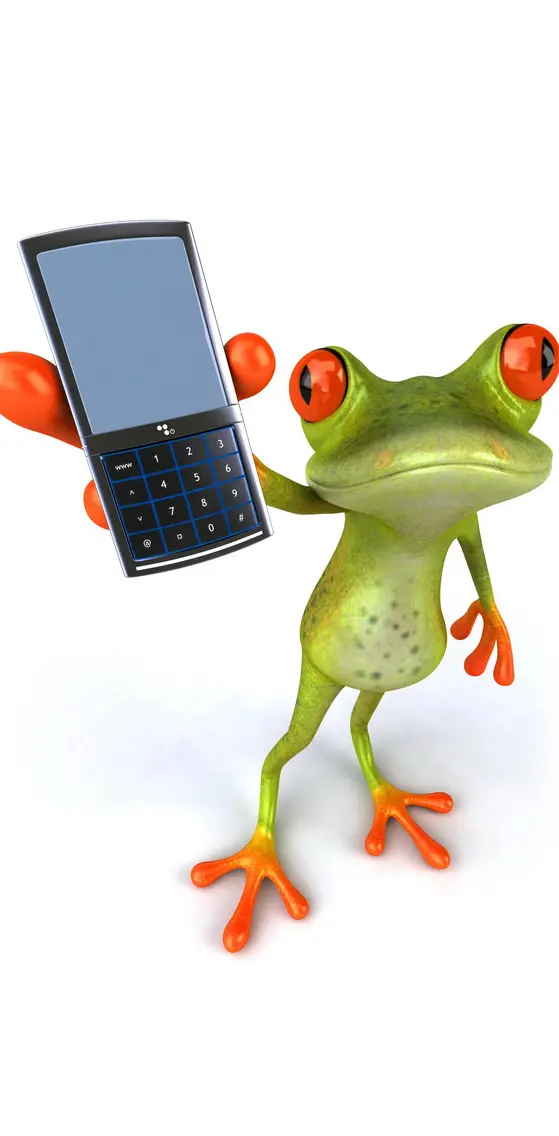 Cell Phone Frog