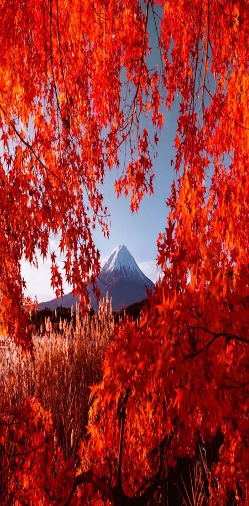 Autumn in mountain