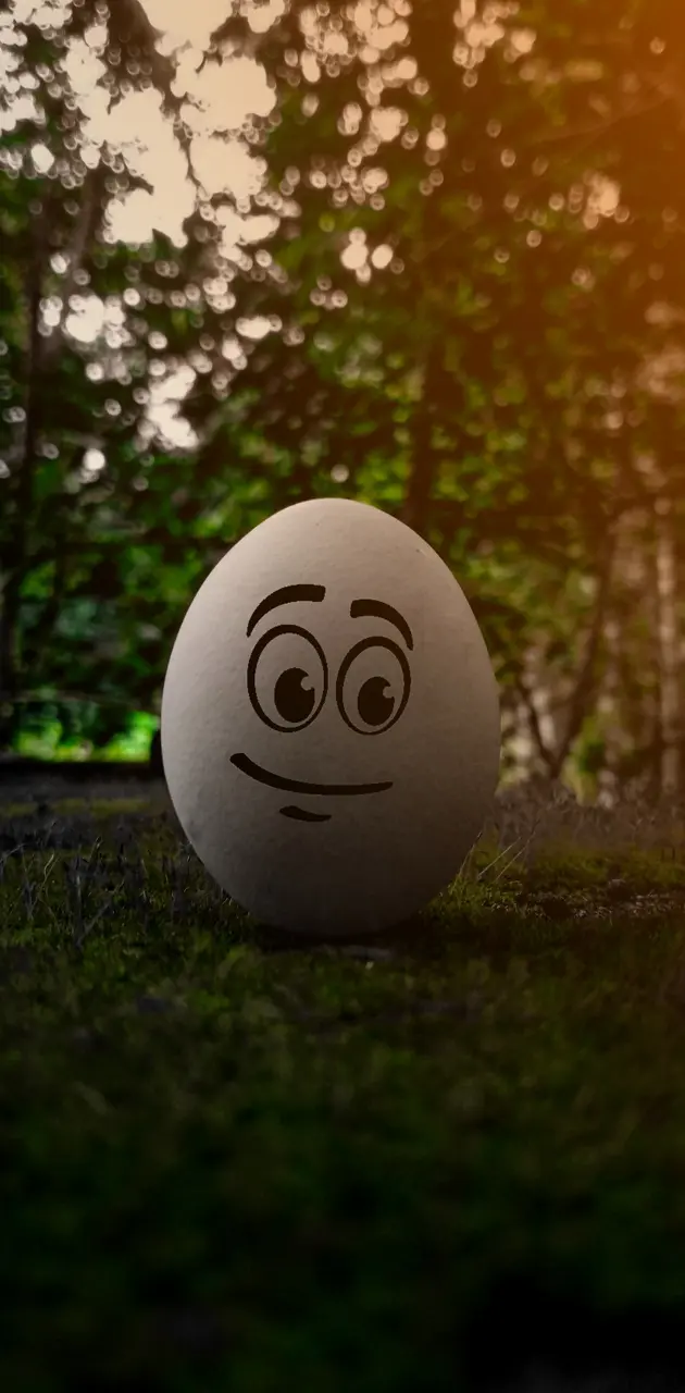 Egg photography